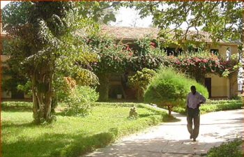 our garden